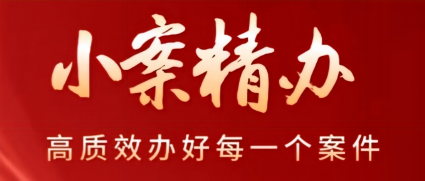 “三驾齐驱”赋能小案精办